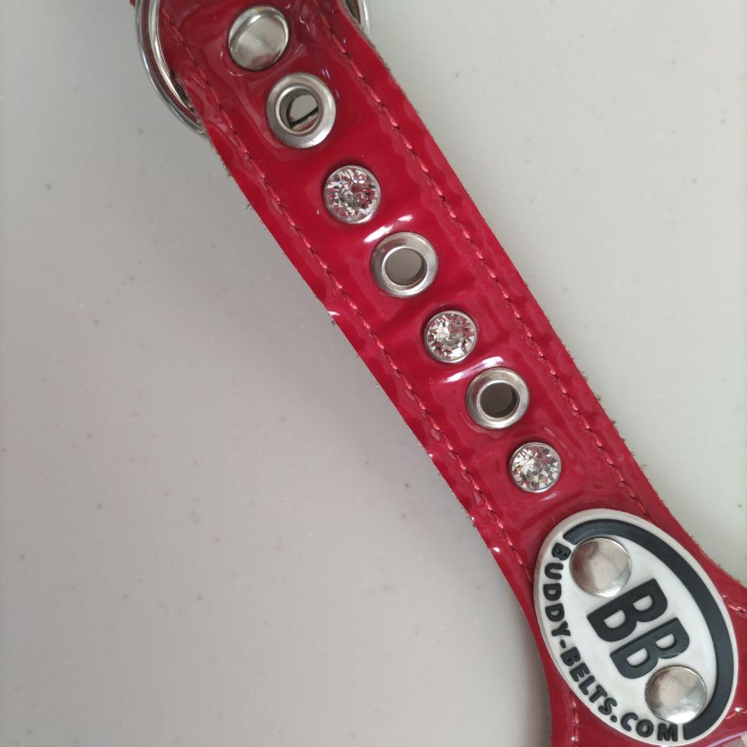バディ－ベルト ハ－ネスBBベルト ６号エナメルレッド！ スワロフスキー付き