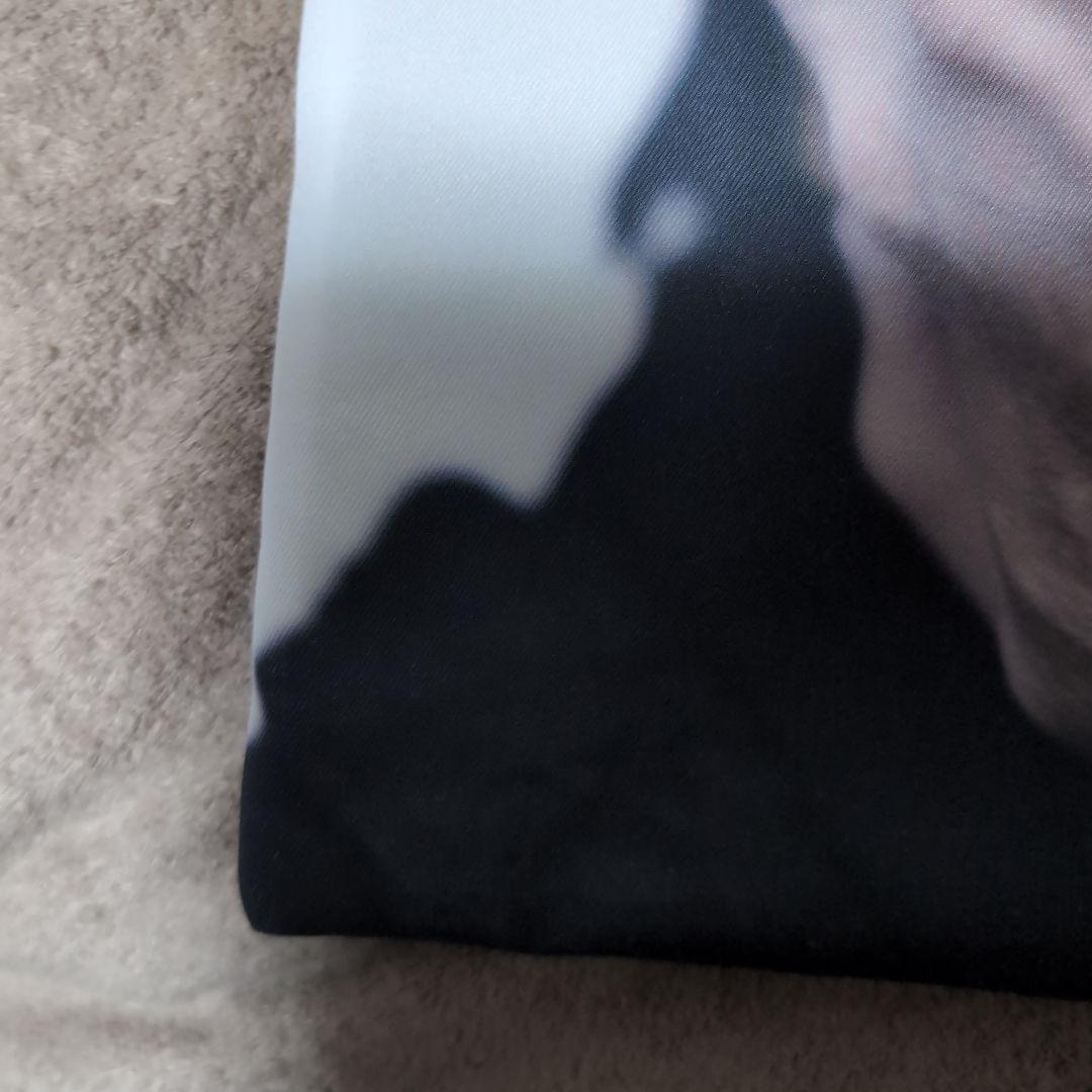 BUCK-TICK　クッションカバー