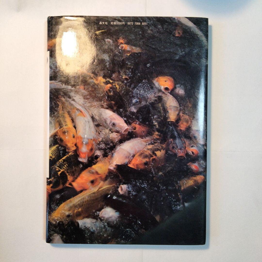 中平卓馬「新たなる凝視」