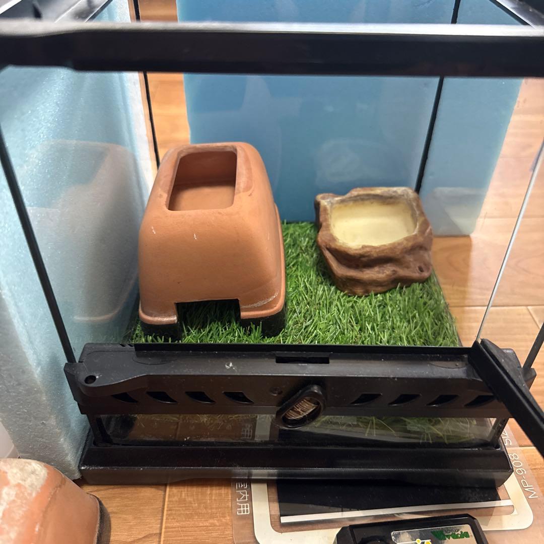 GEX EXOTERRA グラステラリウム ナノキューブ レオパ飼育セット