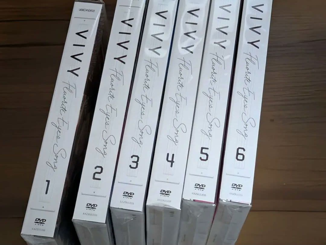 VIVY DVD 全6巻セット