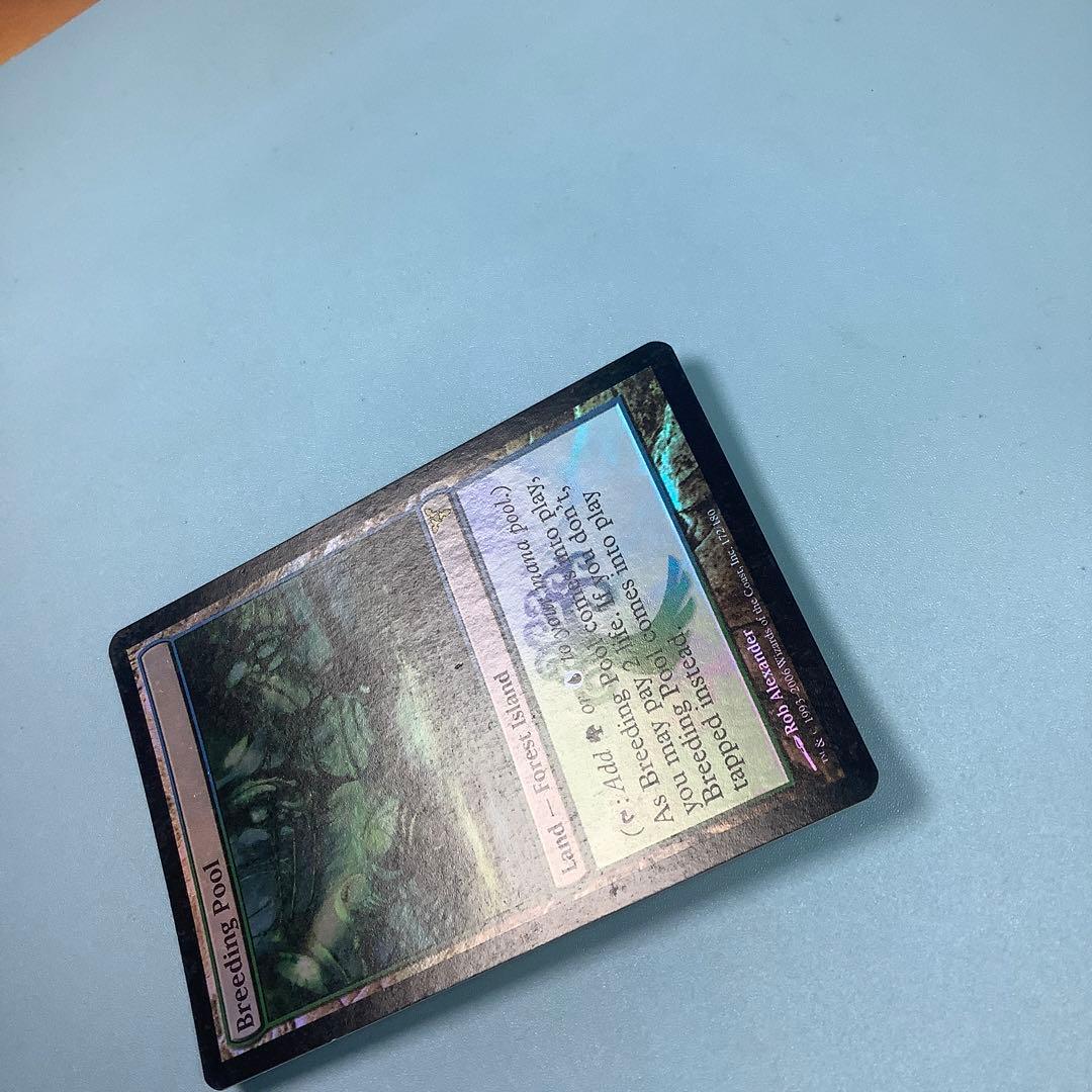 繁殖池/Breeding Pool  DIS英語foil