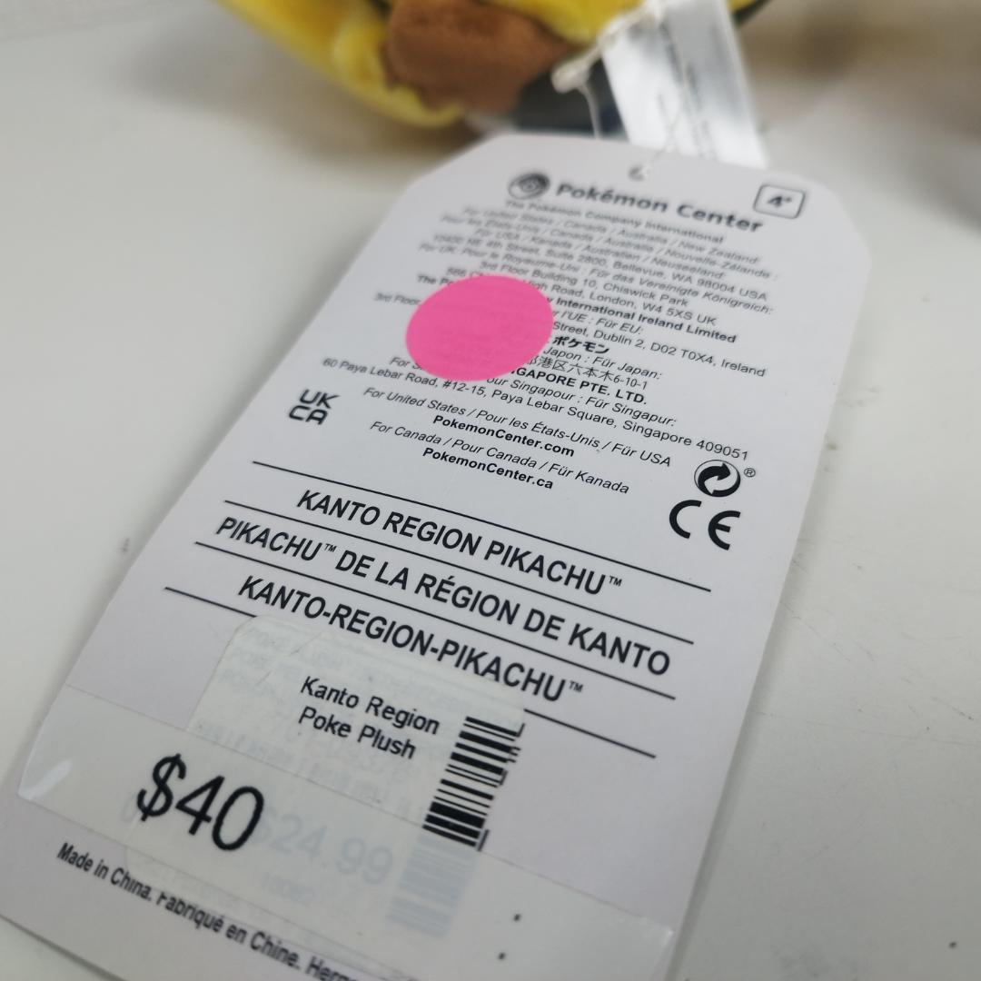 ピカチュウ 25周年 カントー地方 ぬいぐるみ 関東地方 アメリカ限定 IZ85