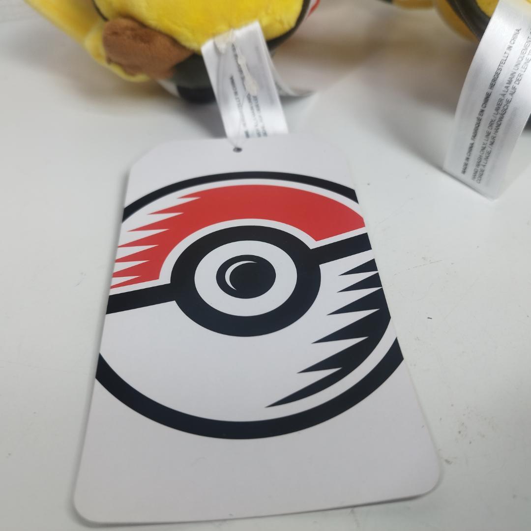 ピカチュウ 25周年 カントー地方 ぬいぐるみ 関東地方 アメリカ限定 IZ85