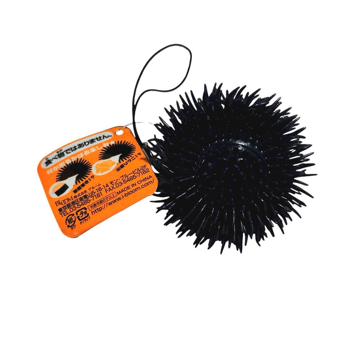 ダグ付き‼️ブルーム　オールドブルーム　BLOOM ウニ　軍艦