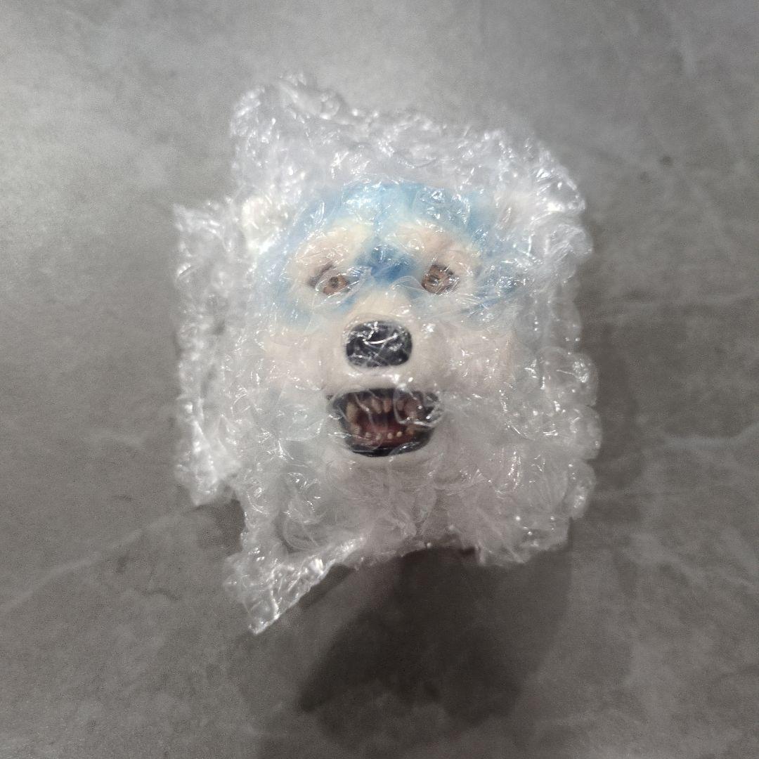 MAN WITH A MISSION まとめ売り