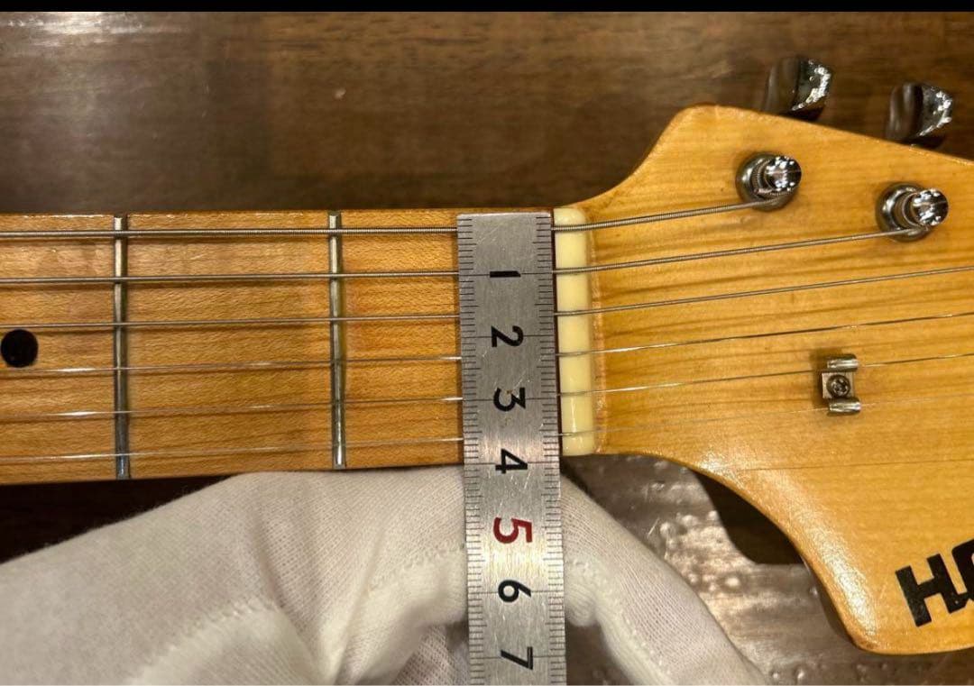 Holly Splendor Series エレキギター ブラック