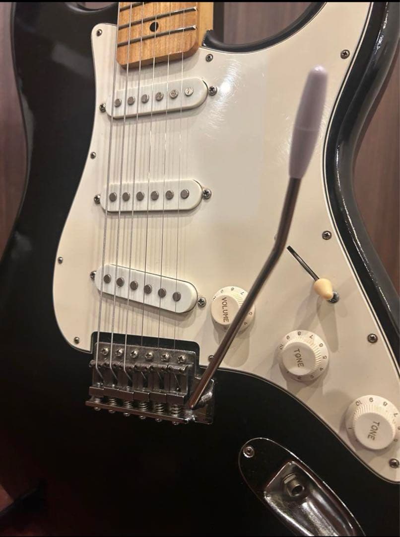 Holly Splendor Series エレキギター ブラック