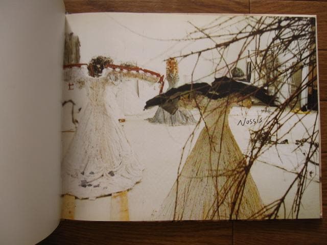 アート・デザイン・音楽 Bernard Comment Anselm Kiefer