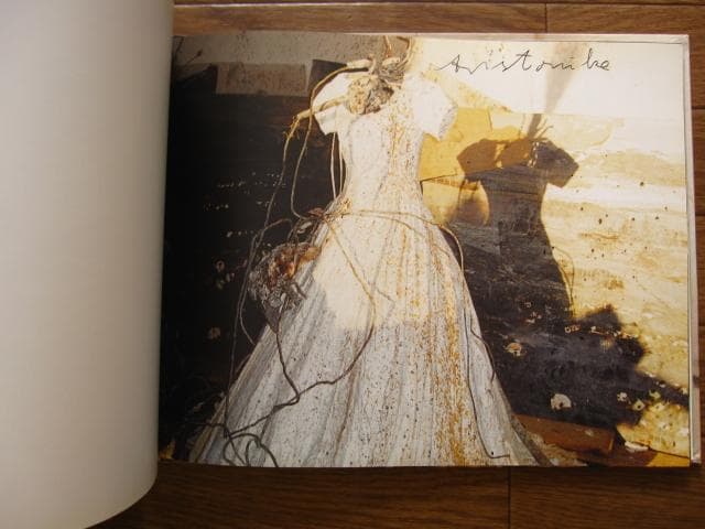アート・デザイン・音楽 Bernard Comment Anselm Kiefer