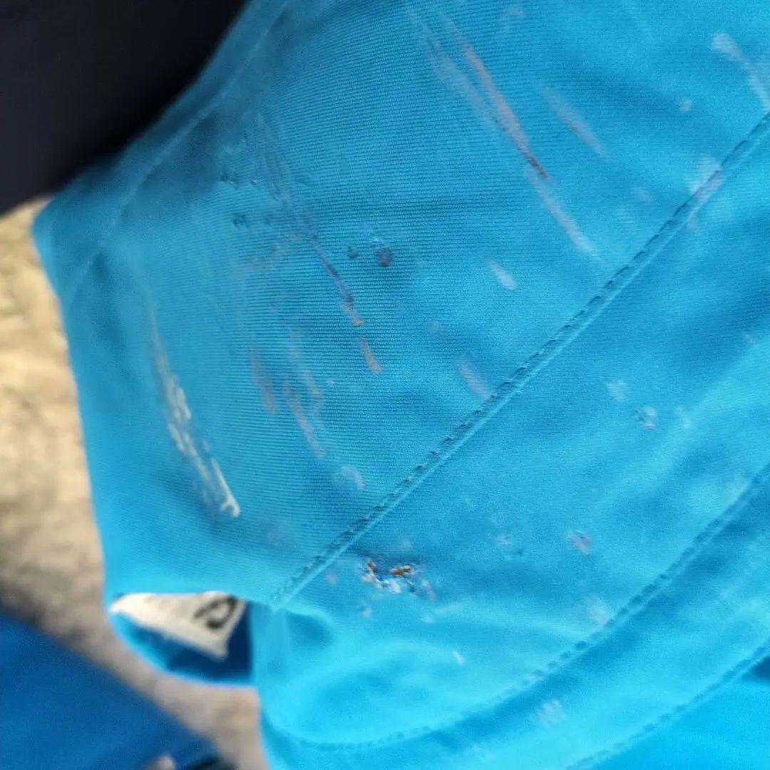 GOLDWIN スウェーデンチームレプリカ セット 160cm