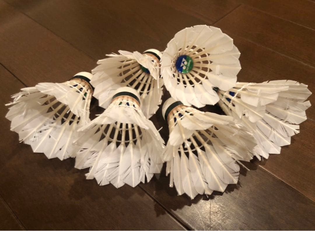 YONEX ニューオフィシャル　中古シャトル