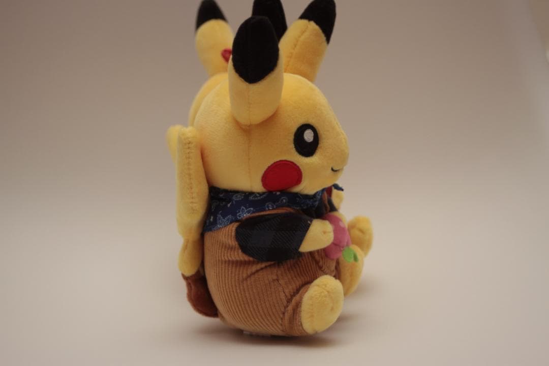 限定品 マンスリーペアピカチュウ ぬいぐるみ モモンのみ