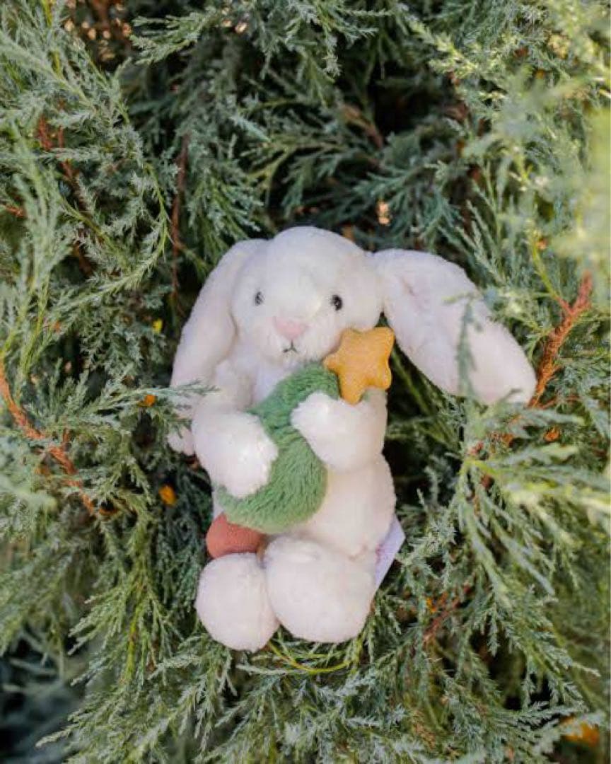  2025 国内未販売 クリスマス限定 Bunny 紙袋付き