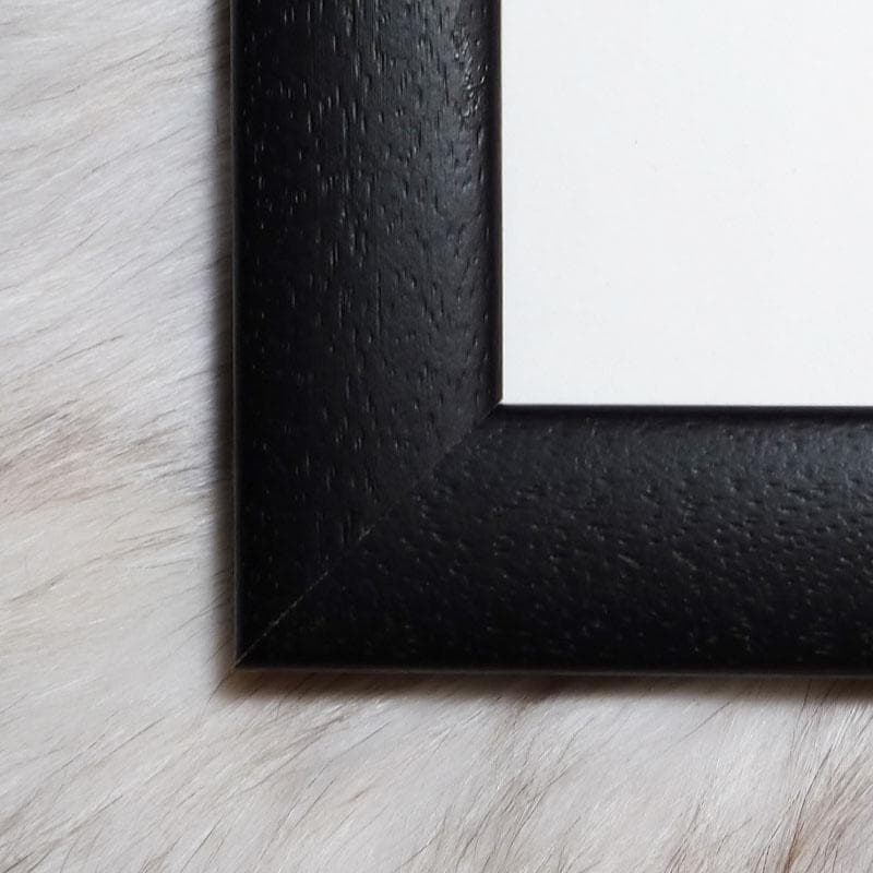 額装済/January 20 February（ラリー クラーク）/ポスター