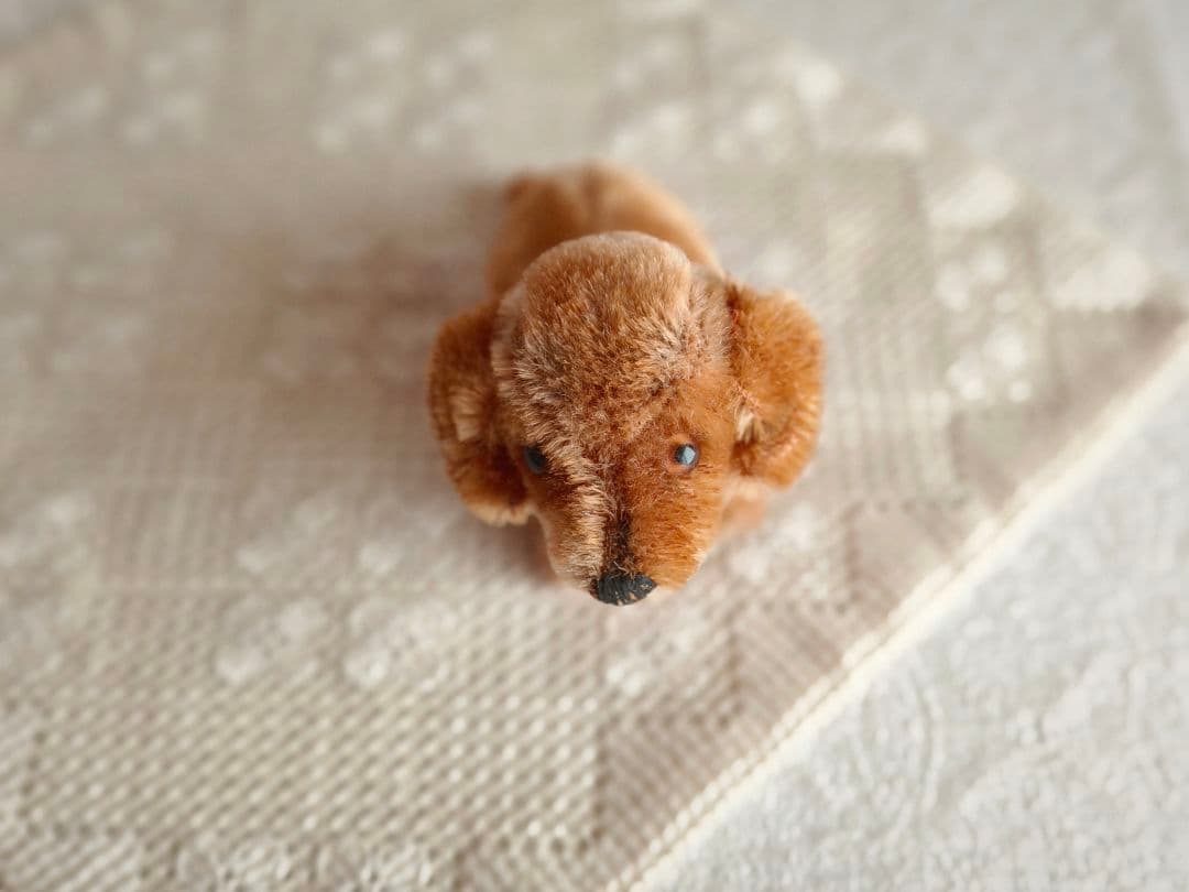 * vintage animal ❀ オレンジグラスアイ *ミニチュア ダックス