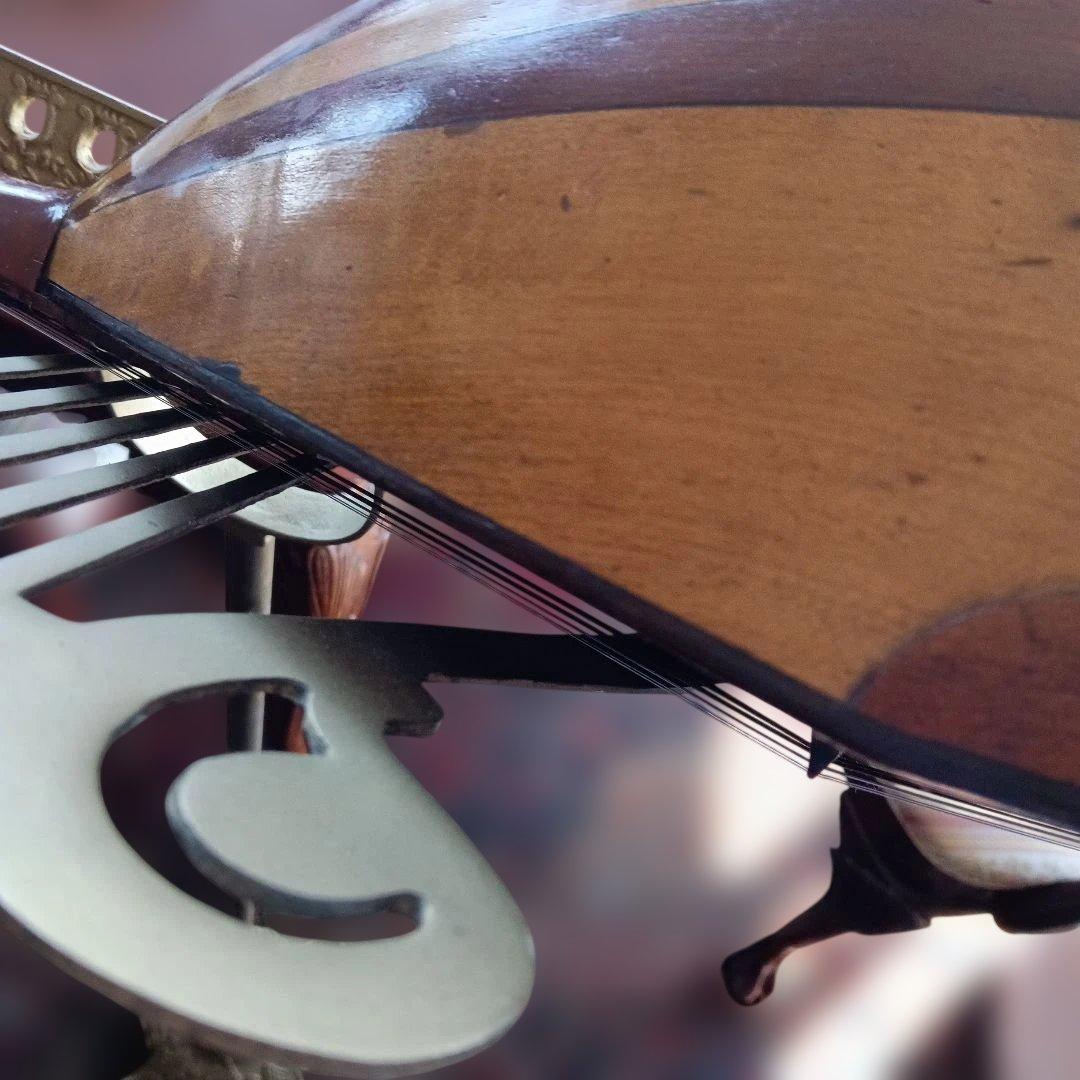 鈴木政吉　アンティーク　 マンドリン