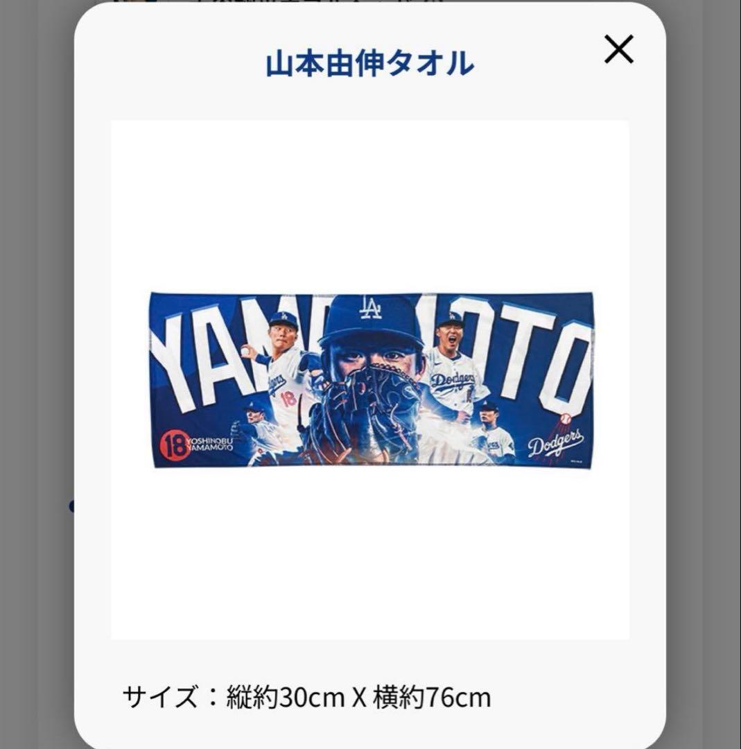 Dodgers Fan Club Box ドジャース ファンクラブ 大谷翔平