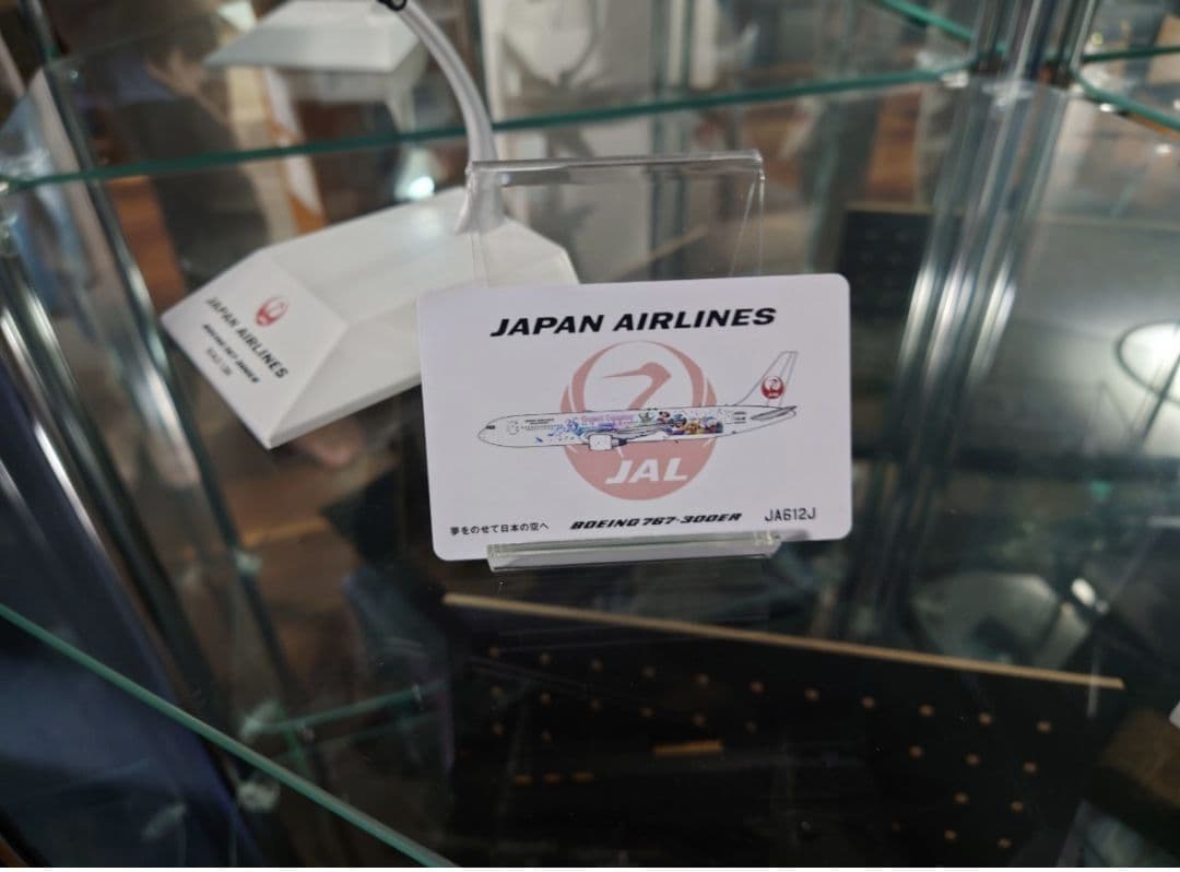 BOEING 767-300ER　ディズニー　セレブレーションエクスプレス