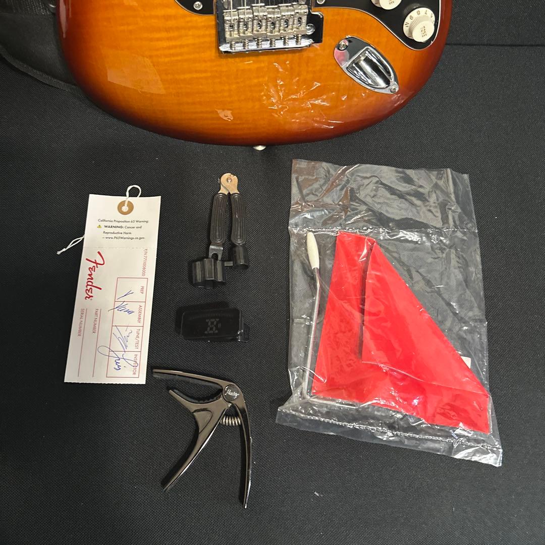 ギター Player Stratocaster Plus Top PF TBS