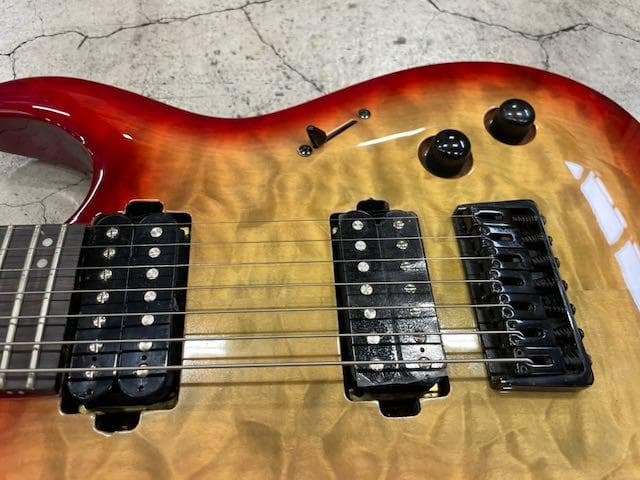 ギター Y1056 gfc GNR7-200 Gloss SCRT BST QM