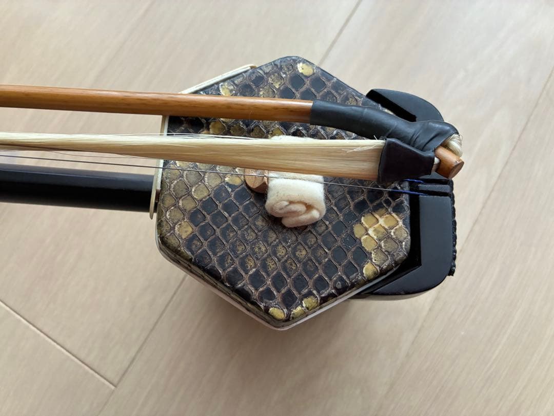 二胡　蛇皮製　ケース付き