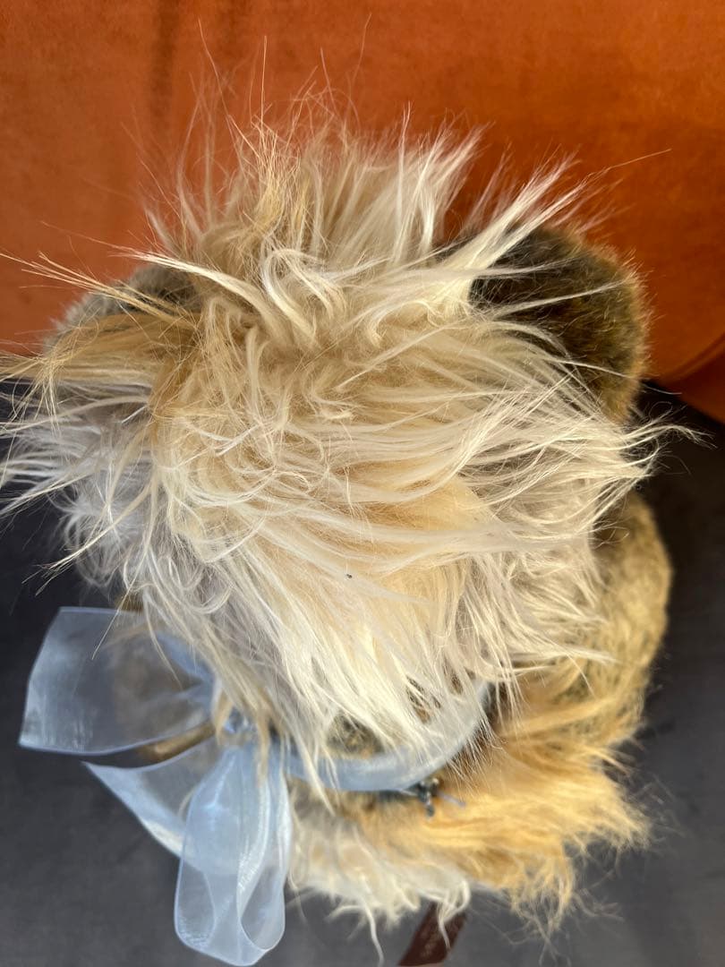 再値下げ　チャーリーベアーズ　テディベア　50cm くらい　足が動きます　作家