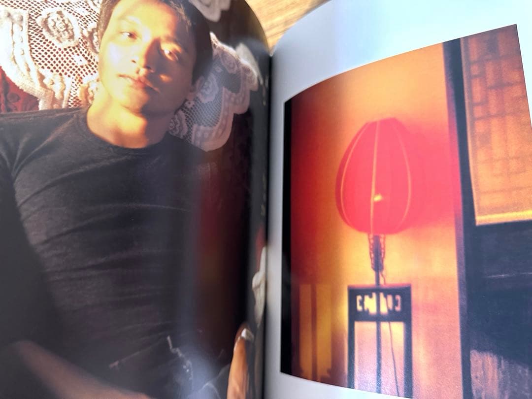 レスリー・チャン　「慶　レスリーインチャイナ　ディレクターズエディション」