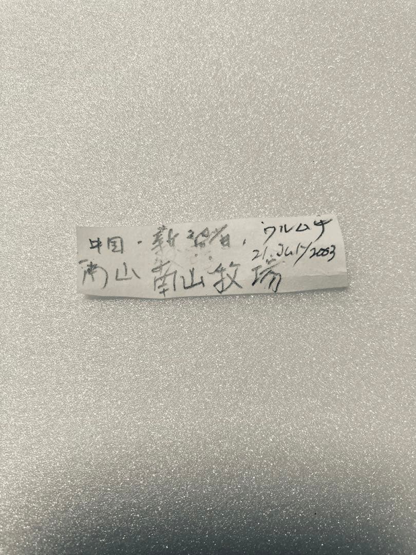 P.tianschanicus（1メス、中国新疆省ウルムチ）