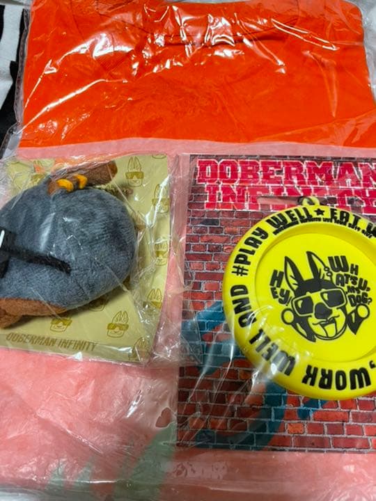 ミュージシャン doberman infinity