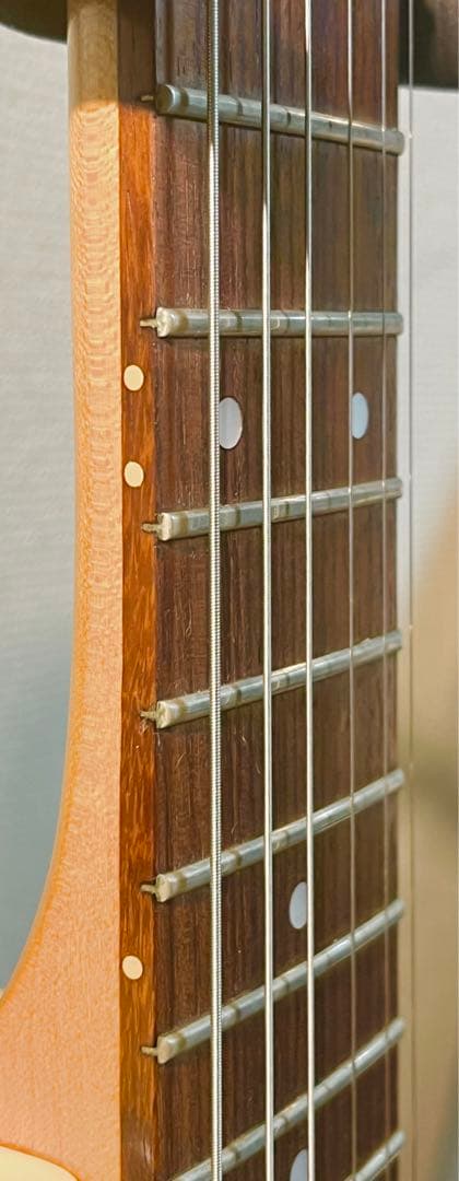 ギター Godin Radiator