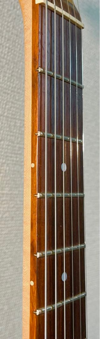 ギター Godin Radiator