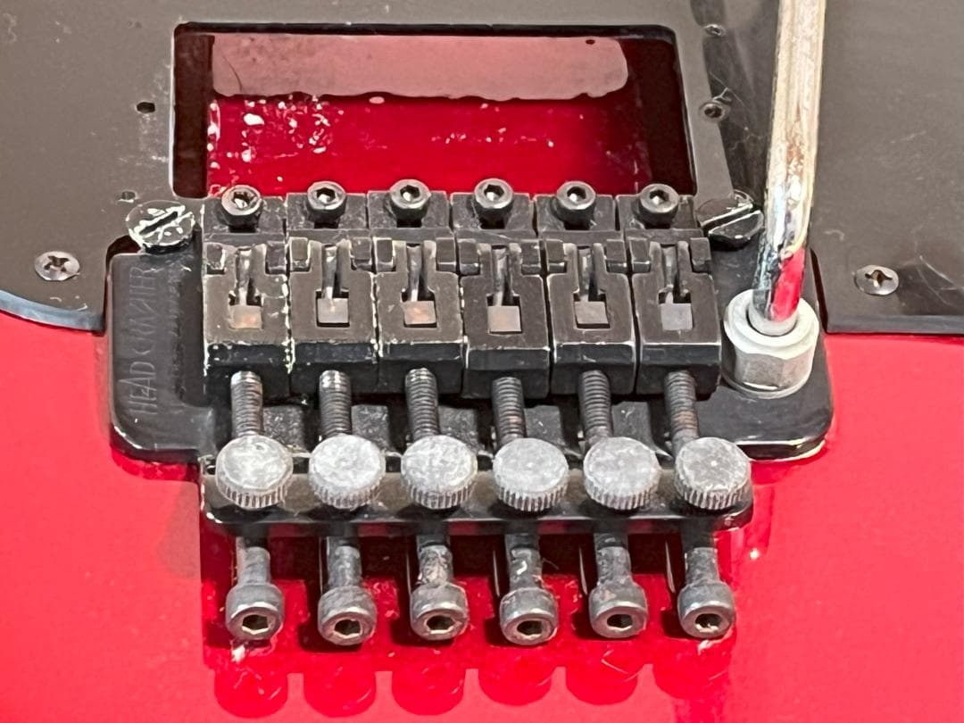 FERNANDES FST-65 電装系なし　スケルトン