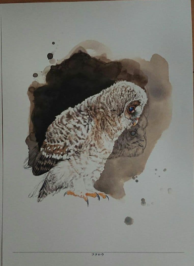 【レア・非売品】エクセレント・バードコレクション5枚組 日本野鳥紀行