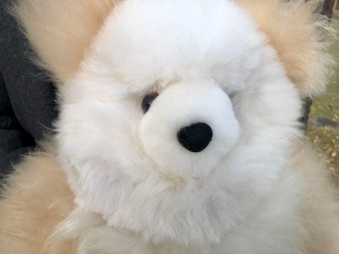 アルパカ テディベア ベビーアルパカ100% XXL ペルー