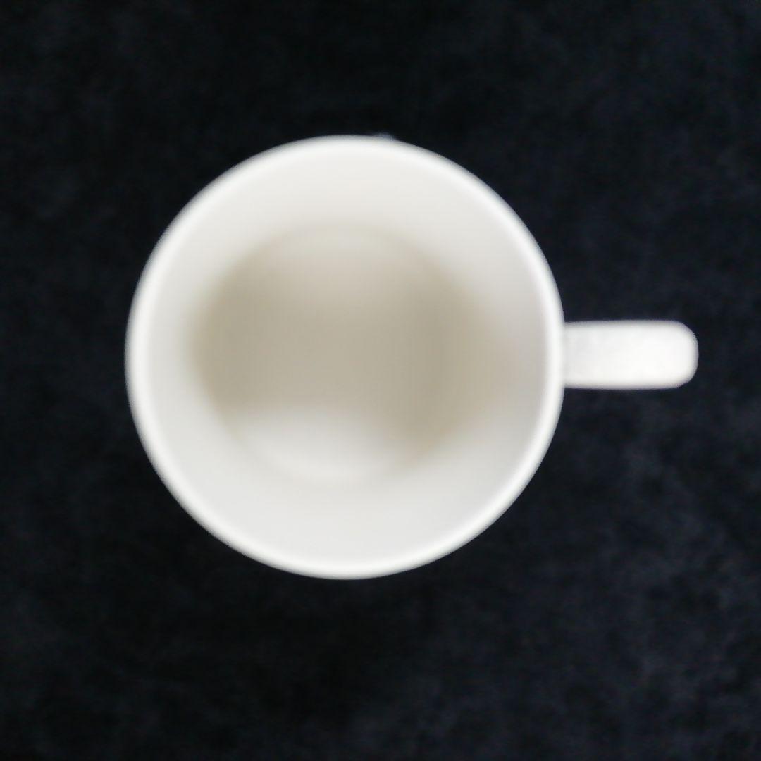 　生誕230周年記念 コノスール・コレクション 超限定品