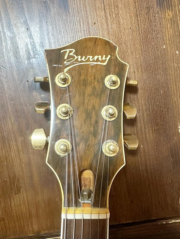 Burny バーニー MG-85CS　モッキンバード MG hide