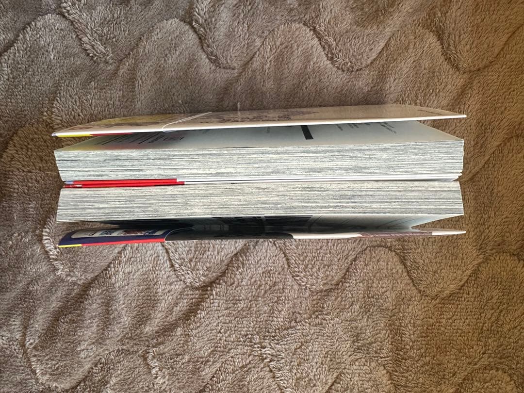 ウィンドブレイカー