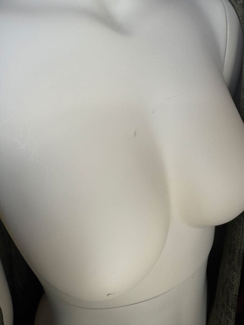 イオンモール名取まで取りに来れる方！全身タイプの女性形トルソー・マネキン人形