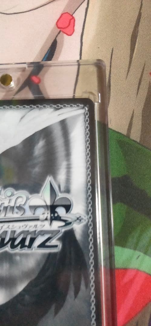 ヴァイスシュヴァルツ　きんいろモザイク　大宮忍　SEC