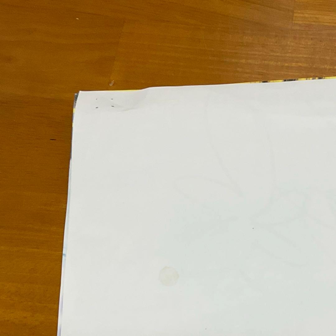 【希少】ニコプチ 直筆サインポスター 名刺 田中杏奈 琴楓 藤村木音 meovv