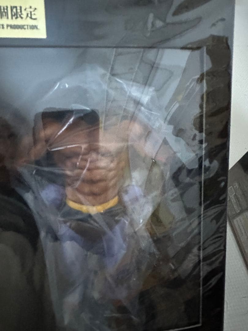 その他 CCP Collection. Vol. 74 ROBINMASK A-Type