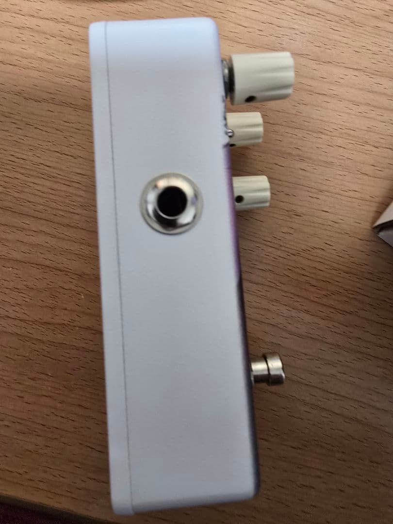 ★animals pedals Custom Illustrated 裙内混響★