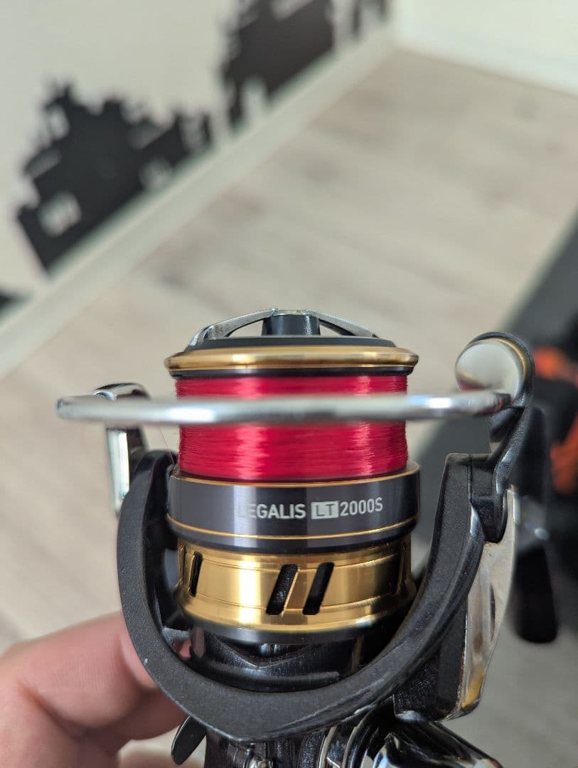 DAIWA 18レガリス2000S リール＆バッグ＆ジグヘッド