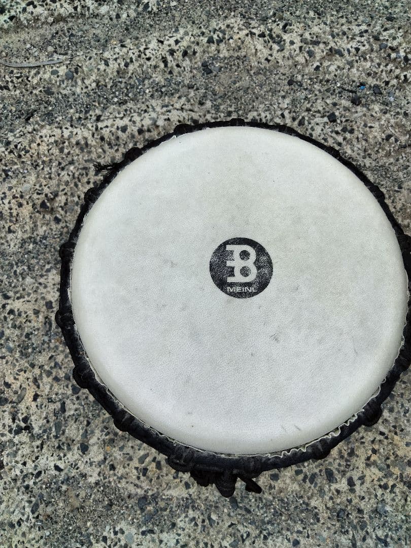 マイネルジャンべ＋マイネルカホン