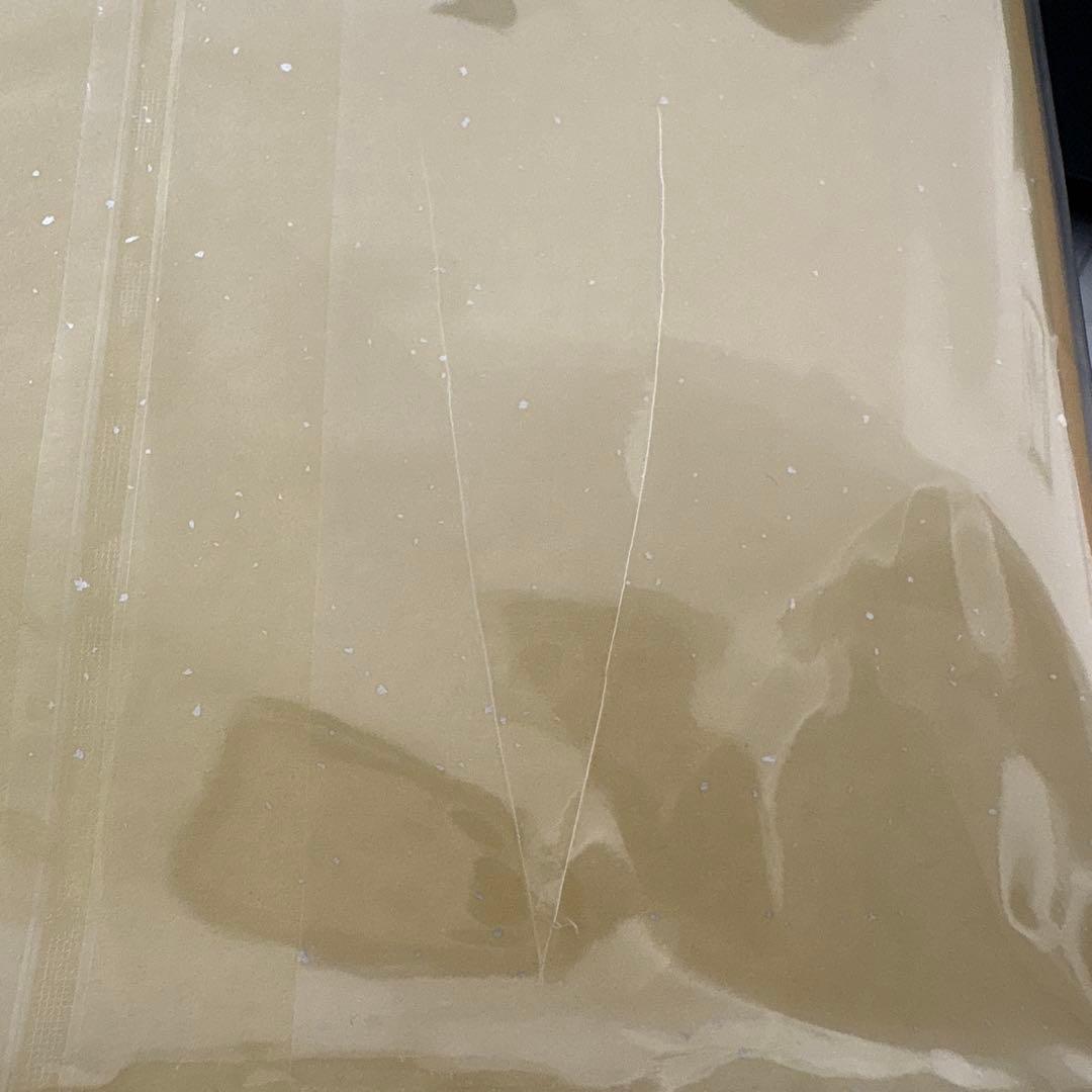 クリスタル・オブ・アトラン　瀬戸麻沙美さん