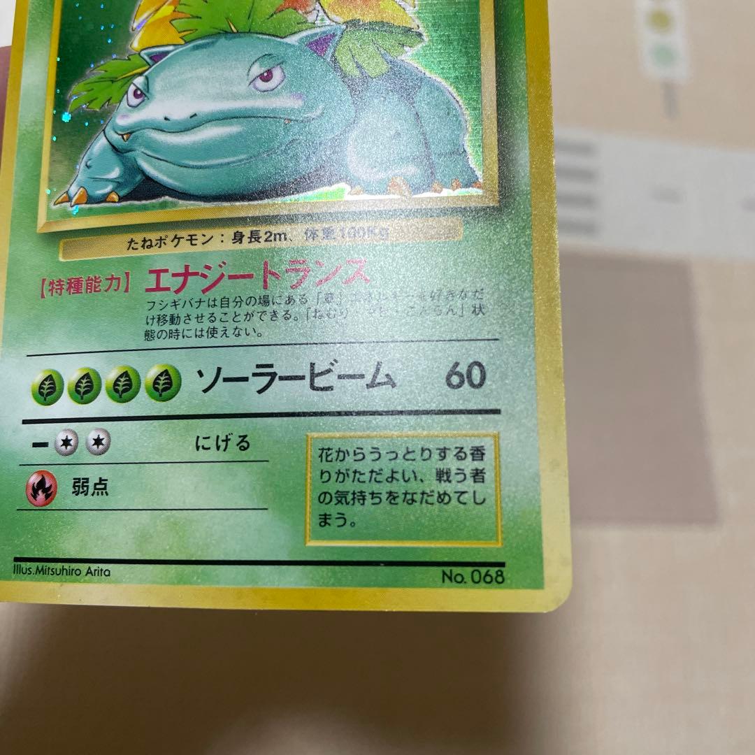 フシギバナ　旧裏　マーク無し