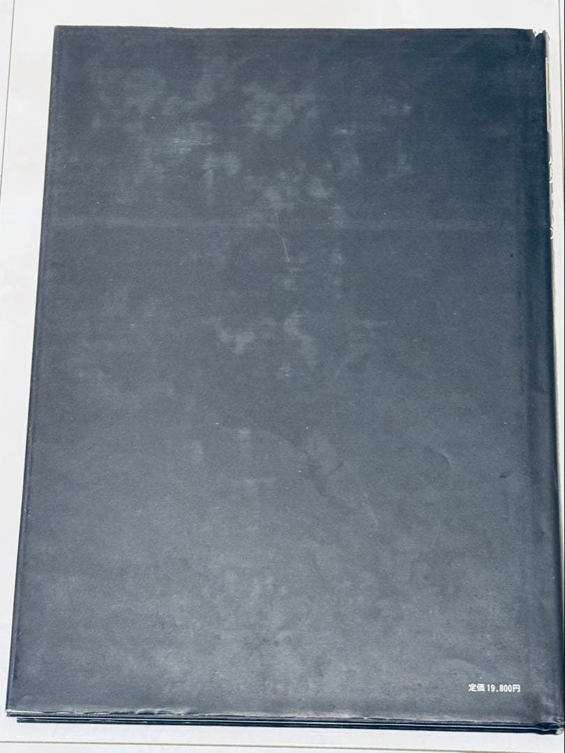 【レア】日本刺青芸術　彫芳　第２巻