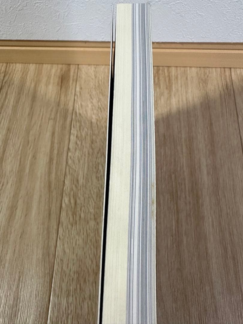 希少　1点のみ　特別展 信樂 －壺中の天 1999 MIHO MUSEUM