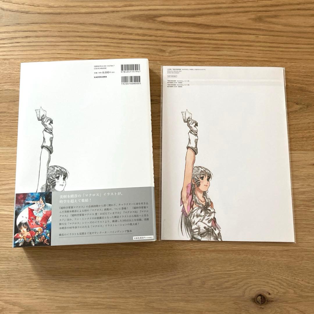 【残り僅か新品】美樹本晴彦　画集　マクロス　特典冊子付き　リンミンメイ　飯島真理